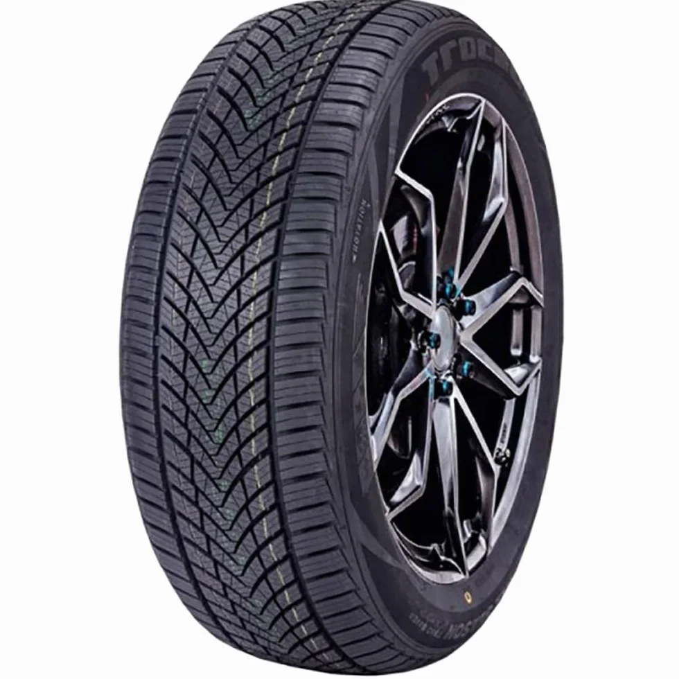 Pneumatici 4 stagioni 175/65/14 82 T TRACMAX TRAC SAVER