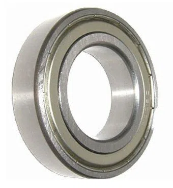 6013 – 2Z SKF schermato cuscinetto a sfera