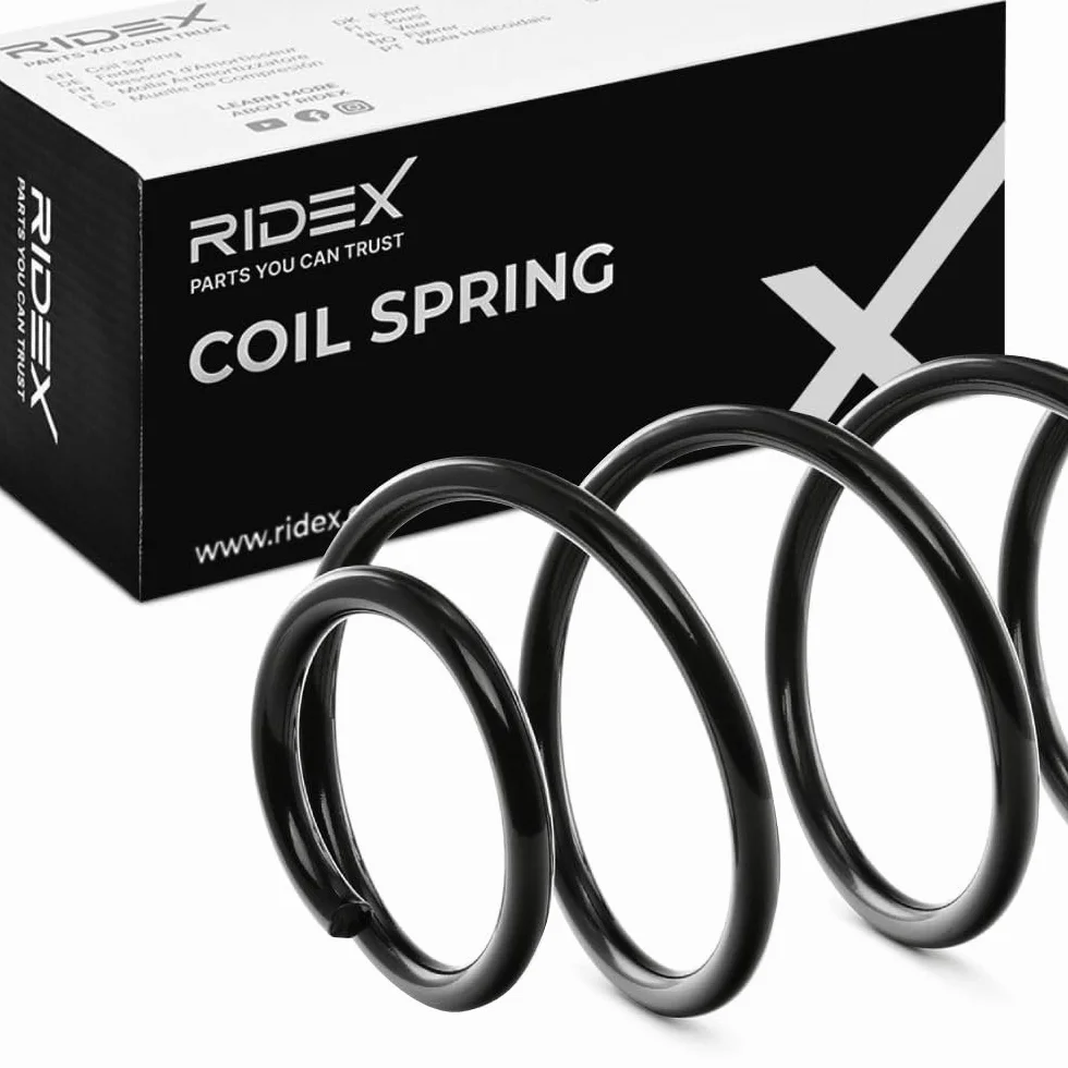 RIDEX 188C0955 2x Molle ammortizzatori Posteriore Compatibilità con FIAT Panda Hatchback 141