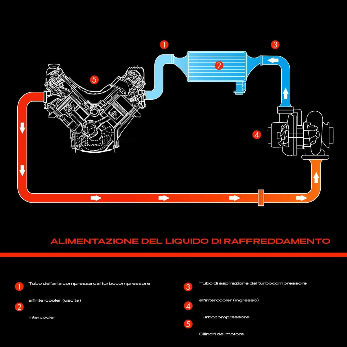 Frankberg Tubo d'aria manicotto Compatibile con Ducato Bus 230 2.8 TDI Ducato Bus 230 2.5 TDI Panorama/Combinato Ducato Pianale/Telaio 230 2.8 TDI Ducato Pianale/Telaio 230 2.5 TDI 1307421080