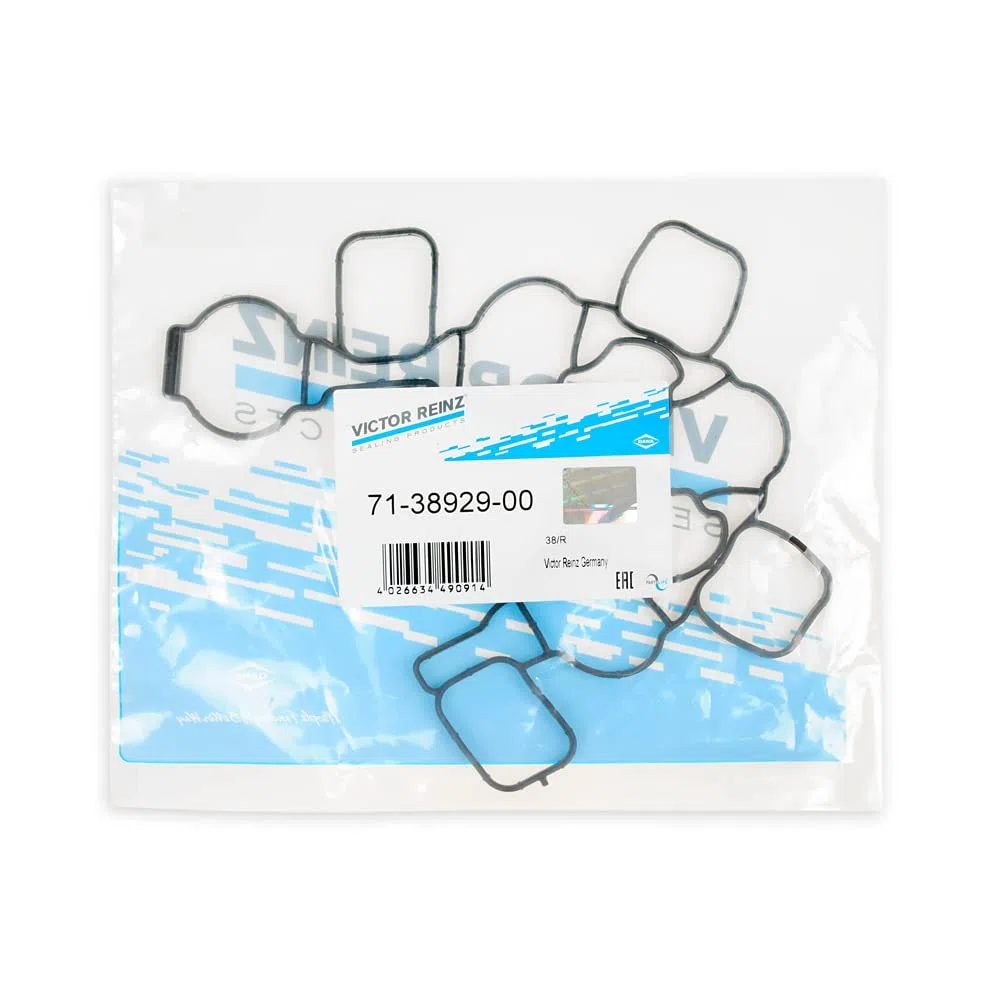Swirl Flap Riparazione Cancella Kit con Victor Reinz Guarnizione per VW Audi Seat Skoda con 2.0 TDI CR Motori