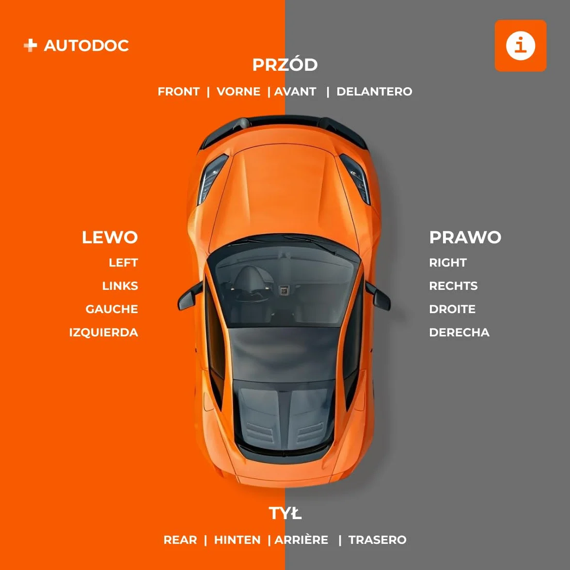 RIDEX 188C1955 2x Molle ammortizzatori Anteriore Compatibilità con OPEL Corsa E Hatchback X15