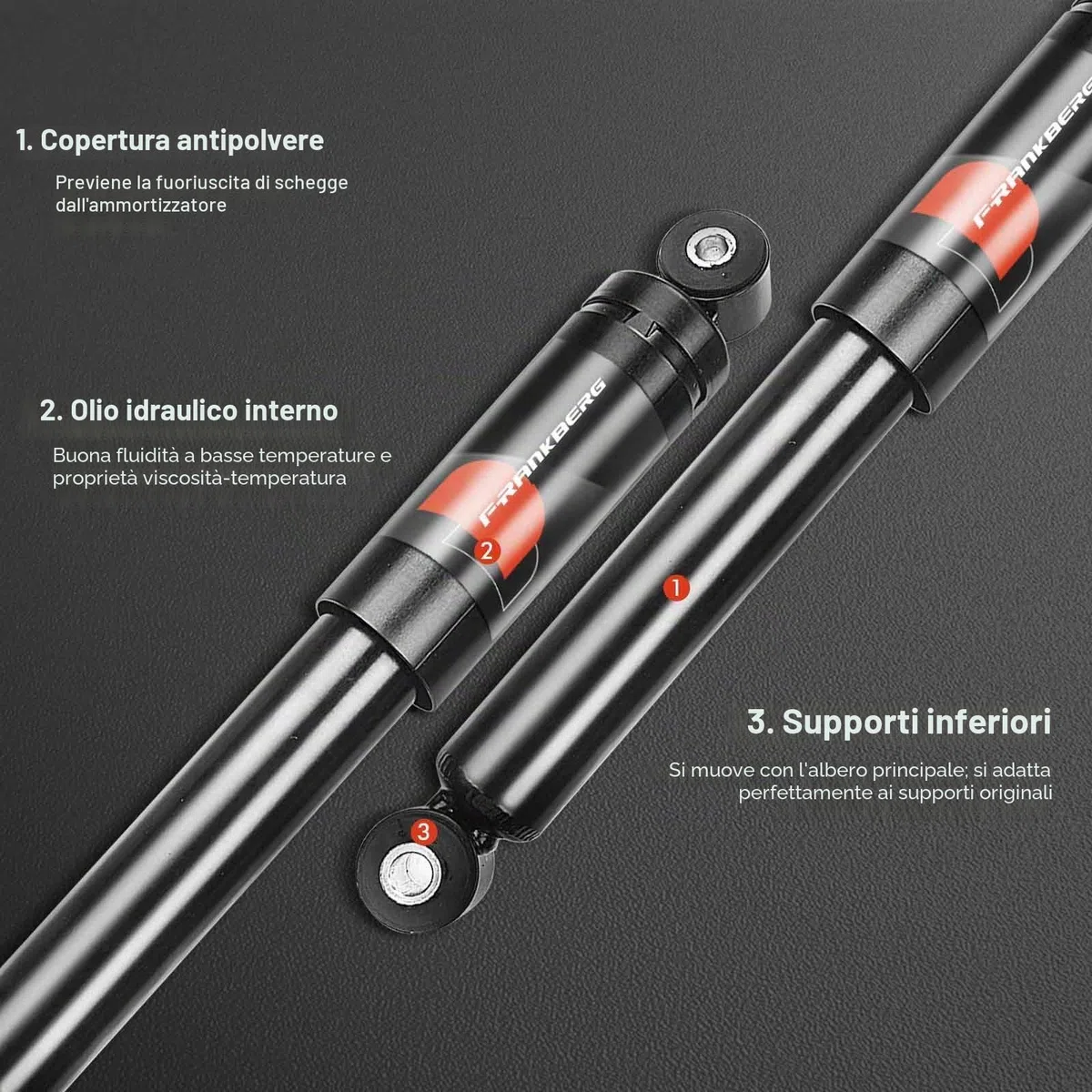 Frankberg 2x Ammortizzatori per sospensioni Ammortizzatori per telaio Posteriore sinistro destro 382mm Pressione del gas Compatibile con 169 Furgone/Compatto 169 Replace# 23977,50703895