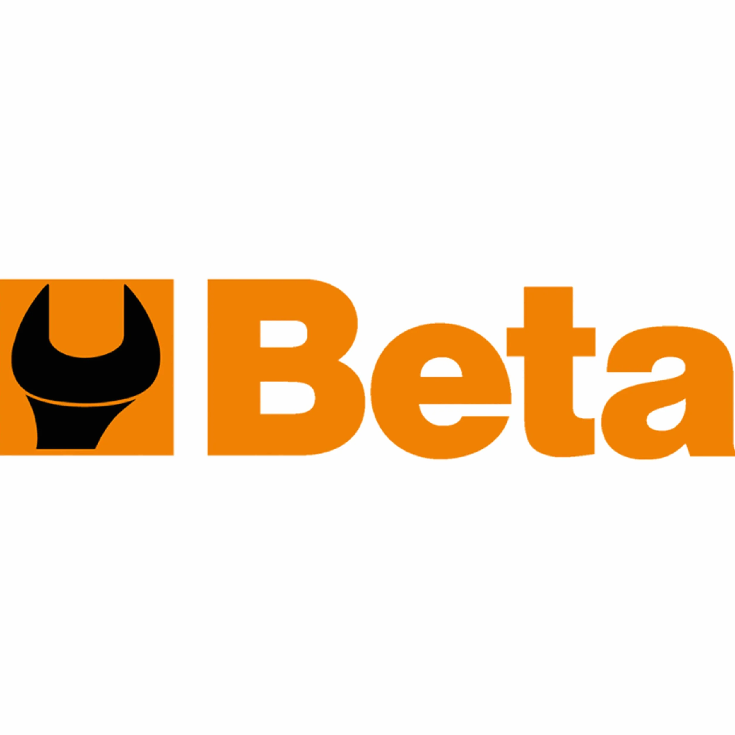 Beta 1479/B27 ​- Attrezzi in Nylon per Pioli e Interventi su Plastiche e Guarnizioni - 27 Pezzi